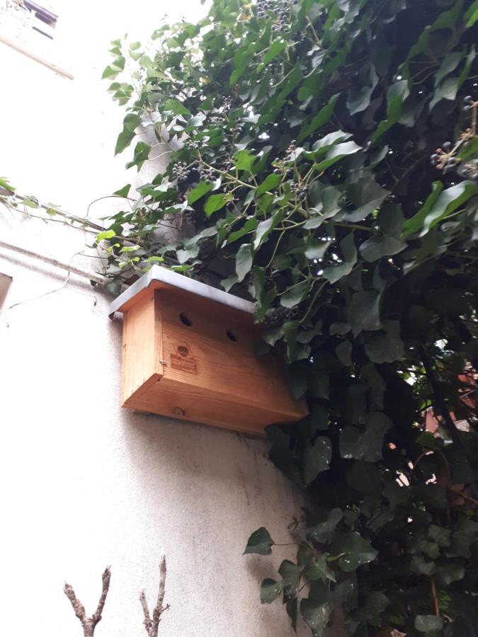 Le Nichoir Aux Oiseaux Appartement Parijs Buitenkant foto